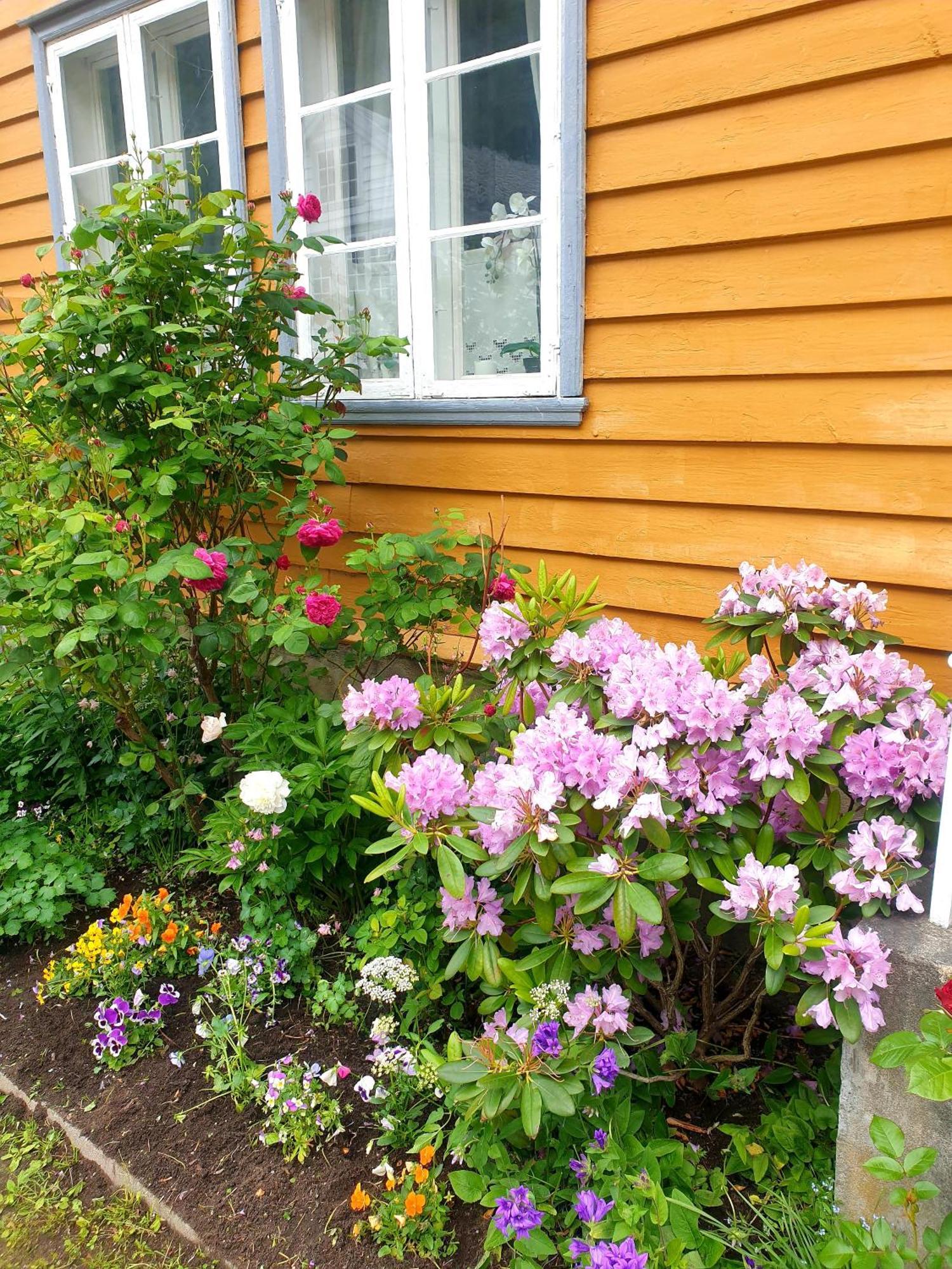 Villa Kvammehuset Pa Gamle Lærdalsøyri Exterior foto