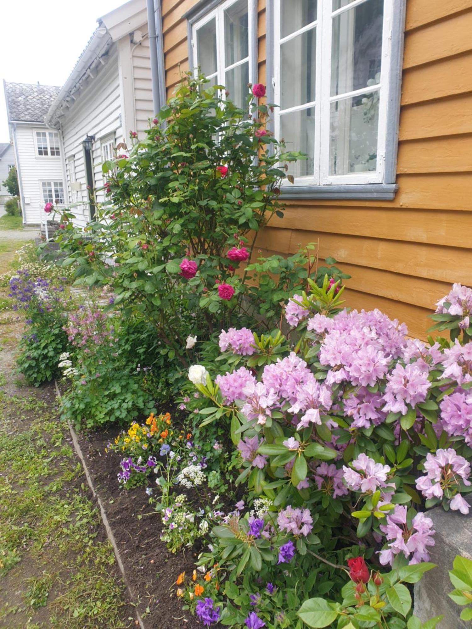 Villa Kvammehuset Pa Gamle Lærdalsøyri Exterior foto