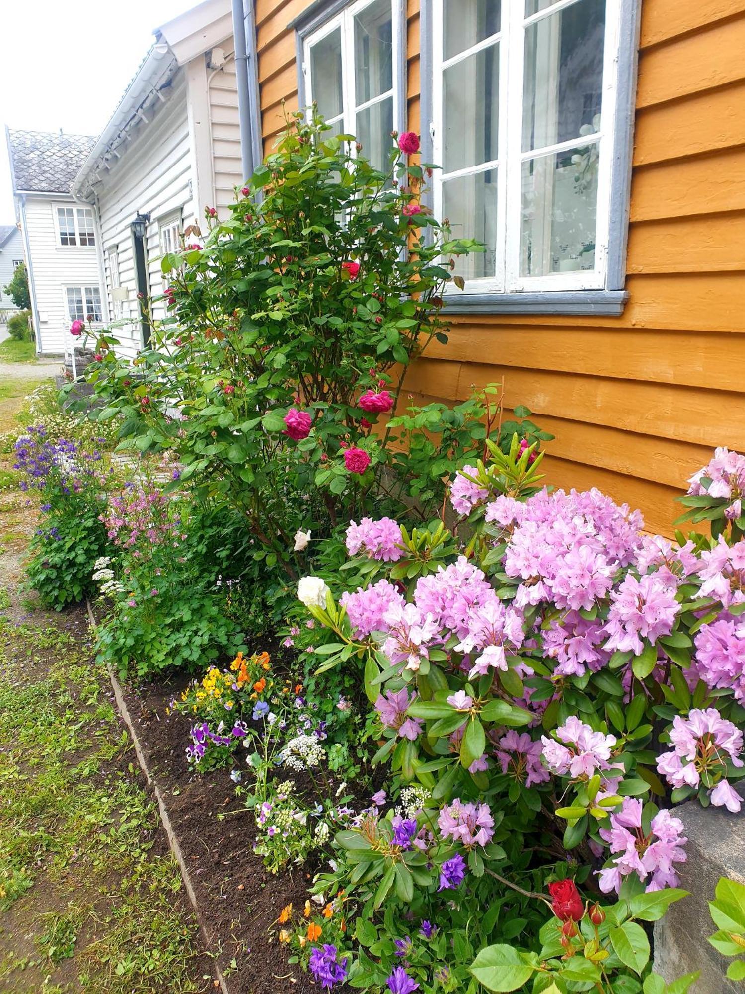 Villa Kvammehuset Pa Gamle Lærdalsøyri Exterior foto